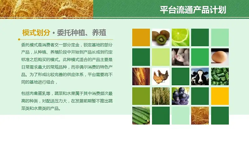 农业项目规划方案PPT模板下载_预览图9