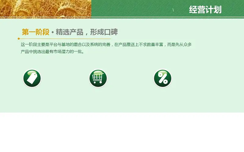 农业项目规划方案PPT模板下载_预览图11