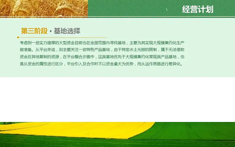 农业项目规划方案PPT模板下载_预览图18