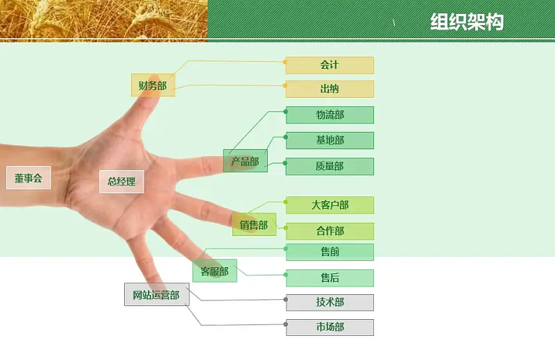 农业项目规划方案PPT模板下载_预览图20