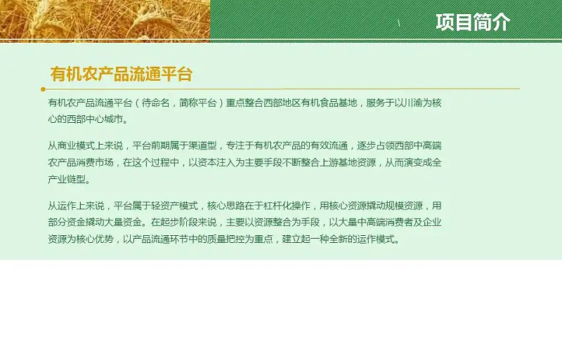 农业项目规划方案PPT模板下载_预览图4