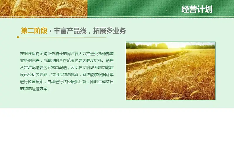 农业项目规划方案PPT模板下载_预览图14