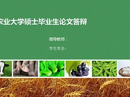 农业项目规划方案PPT模板下载