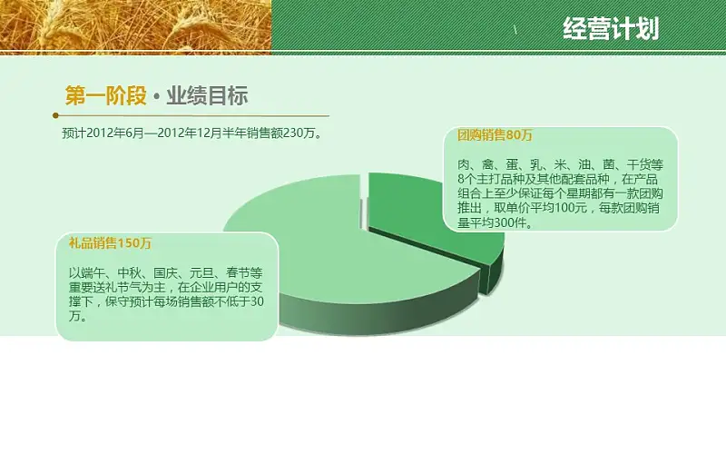 农业项目规划方案PPT模板下载_预览图13