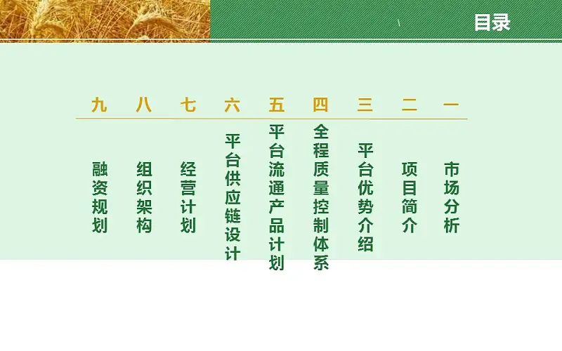 农业项目规划方案PPT模板下载_预览图2