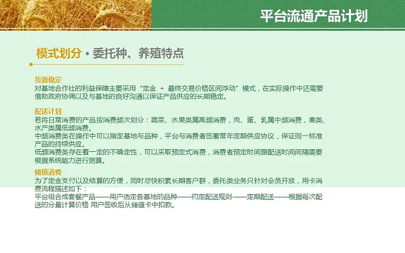 农业项目规划方案PPT模板下载_预览图10