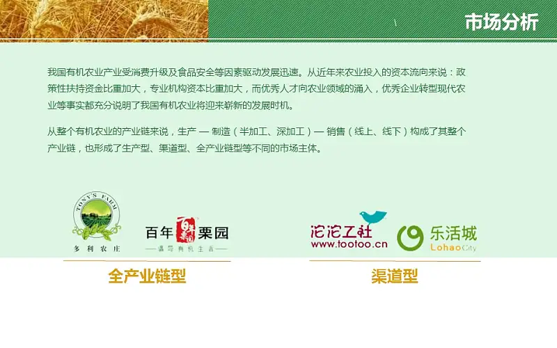 农业项目规划方案PPT模板下载_预览图3