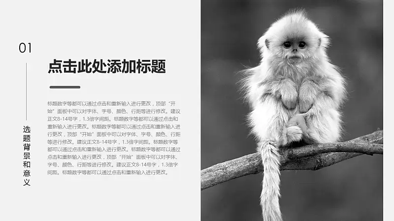 灰白色极致简约风格总结报告PPT模板下载_预览图23