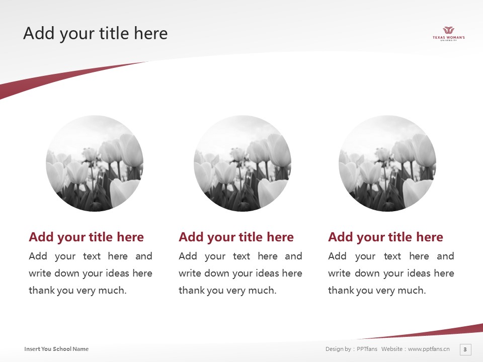 Texas Woman’s University Powerpoint Template Download | 德州女子大學(xué)PPT模板下載_幻燈片預(yù)覽圖3