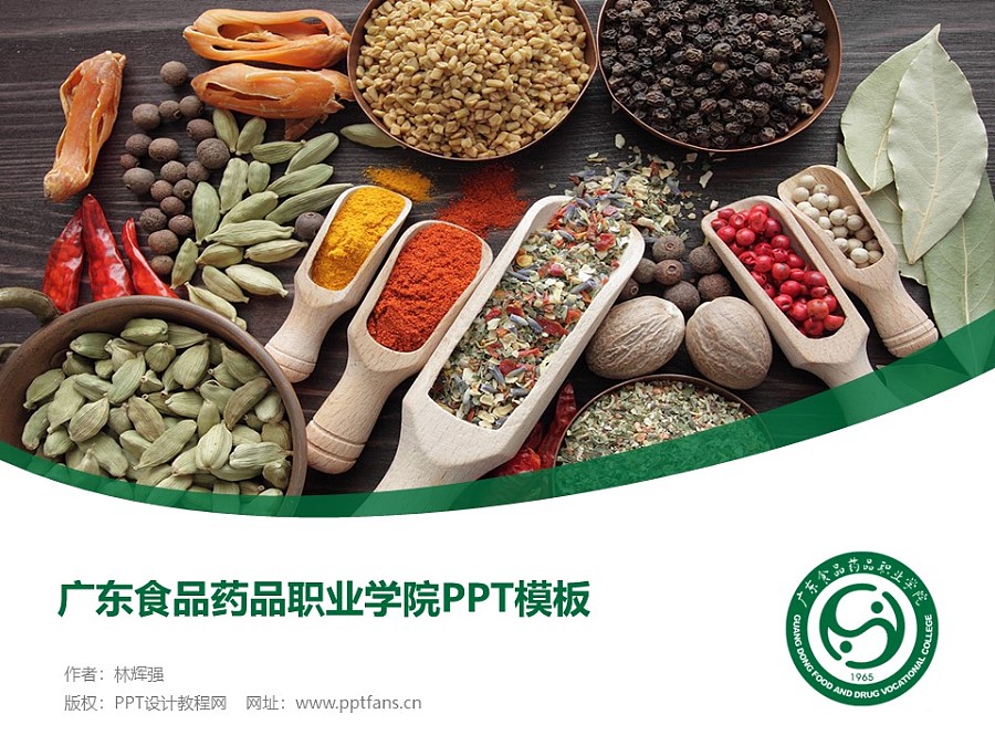 广东食品药品职业学院PPT模板下载_幻灯片预览图1