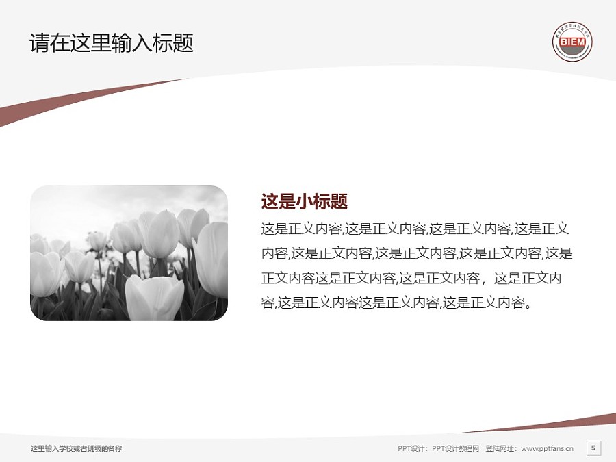 北京经济管理职业学院PPT模板下载_幻灯片预览图5