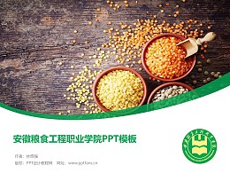 安徽粮食工程职业学院PPT模板下载