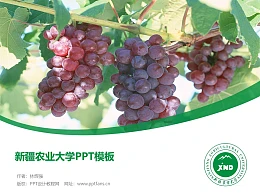 新疆农业大学PPT模板下载