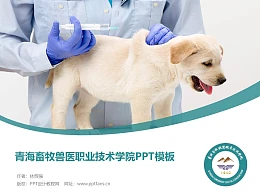 青海畜牧兽医职业技术学院PPT模板下载