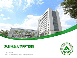 东北林业大学PPT模板下载