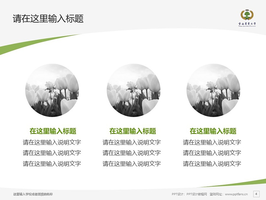 云南农业大学热带作物学院PPT模板下载_幻灯片预览图4