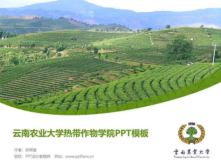 云南农业大学热带作物学院PPT模板下载_幻灯片预览图1