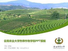云南农业大学热带作物学院PPT模板下载