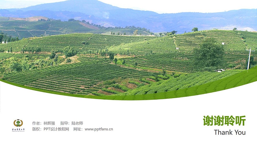 云南农业大学热带作物学院PPT模板下载_幻灯片预览图31