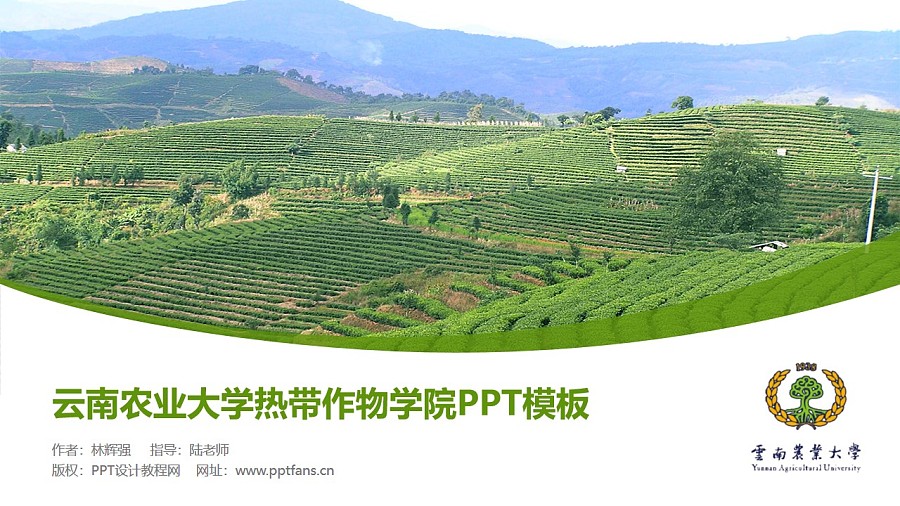 云南农业大学热带作物学院PPT模板下载_幻灯片预览图1