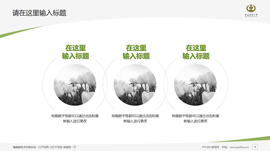 云南农业大学热带作物学院PPT模板下载_幻灯片预览图8