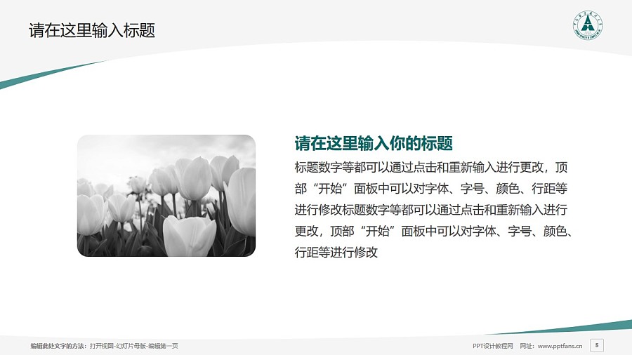 中南财经政法大学PPT模板下载_幻灯片预览图5
